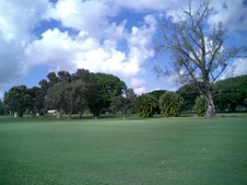 Enlarge photo 286