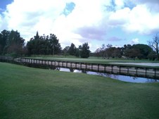 Enlarge photo 281