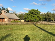 Enlarge photo 135