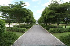 Enlarge photo 176