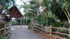 Enlarge photo 96