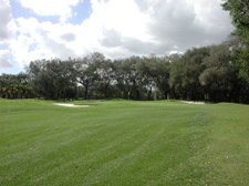 Enlarge photo 294
