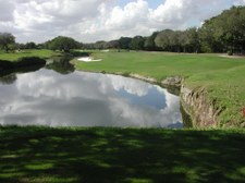 Enlarge photo 291