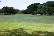 Enlarge photo 315