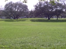 Enlarge photo 314