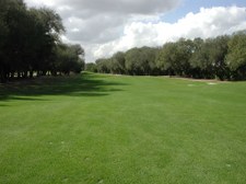 Enlarge photo 296