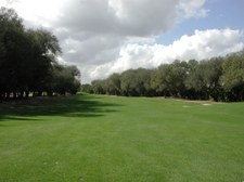 Enlarge photo 297