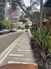 Enlarge photo 73