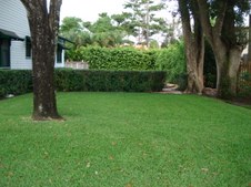 Enlarge photo 37