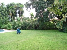 Enlarge photo 51