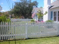 Enlarge photo 169