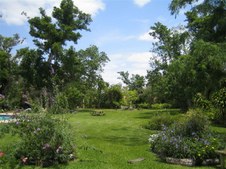 Enlarge photo 113