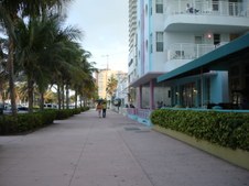 Enlarge photo 152