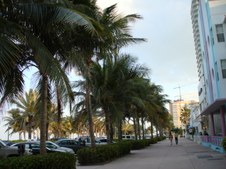 Enlarge photo 153
