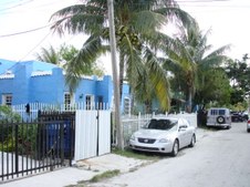 Enlarge photo 82