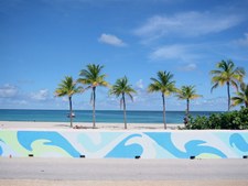Enlarge photo 96