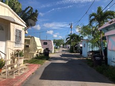 Enlarge photo 173