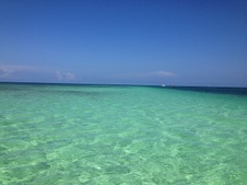 Enlarge photo 36