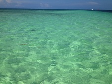 Enlarge photo 40