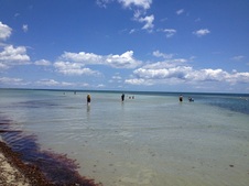 Enlarge photo 48