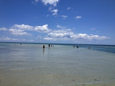Enlarge photo 49