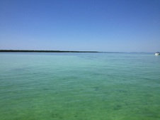 Enlarge photo 42