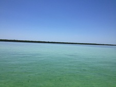 Enlarge photo 43