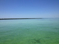 Enlarge photo 45