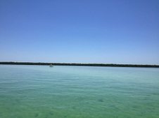 Enlarge photo 44