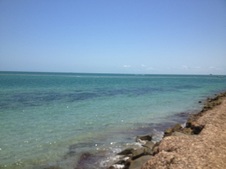 Enlarge photo 47