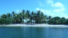 Enlarge photo 17