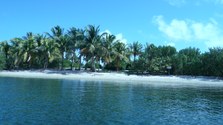 Enlarge photo 18