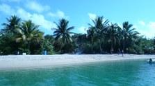 Enlarge photo 25