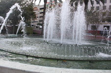 Enlarge photo 218
