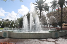Enlarge photo 225