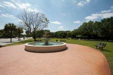 Enlarge photo 510