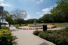 Enlarge photo 513