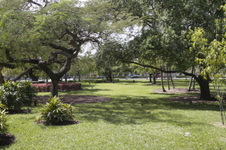 Enlarge photo 503