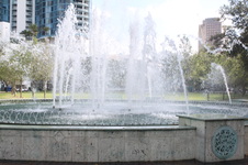 Enlarge photo 185