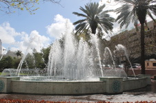 Enlarge photo 191