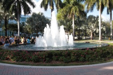 Enlarge photo 205