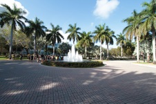 Enlarge photo 206