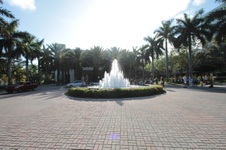 Enlarge photo 211