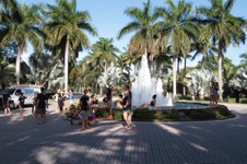 Enlarge photo 215