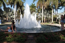 Enlarge photo 216