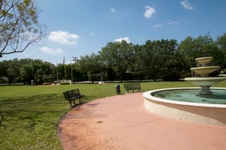 Enlarge photo 447