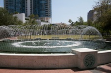Enlarge photo 453