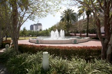 Enlarge photo 463