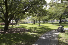 Enlarge photo 422