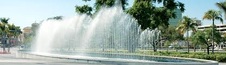 Enlarge photo 381